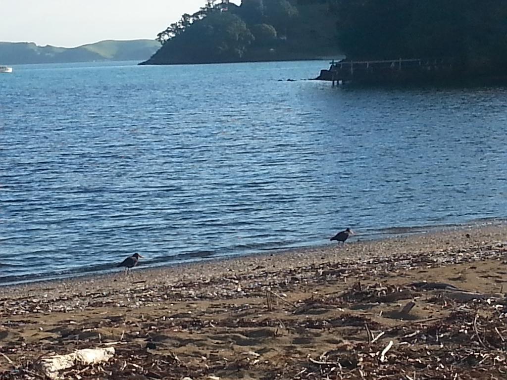 Ferienpark Oamaru Bay Tourist Park Coromandel